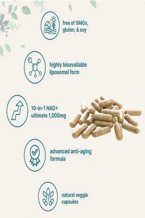 Immutiq Liposomal NAD+ Ultimate